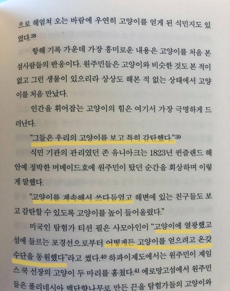 [잡담] 고양이가 강아지보다 goat인 이유 | 인스티즈