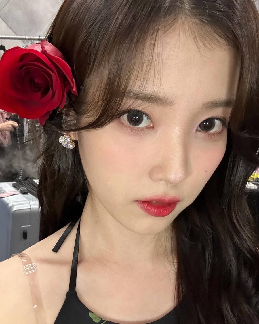 [잡담] 장미 아이유 이쁜사진 [백상수상기원] | 인스티즈