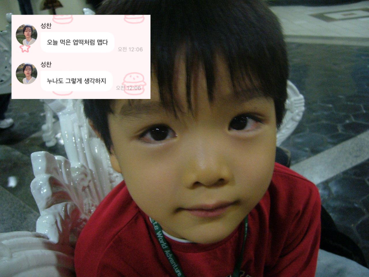 [잡담] 성찬이 버블 이렇게 보옄ㅋㅋㅋㅌ튜ㅠㅠㅠ | 인스티즈