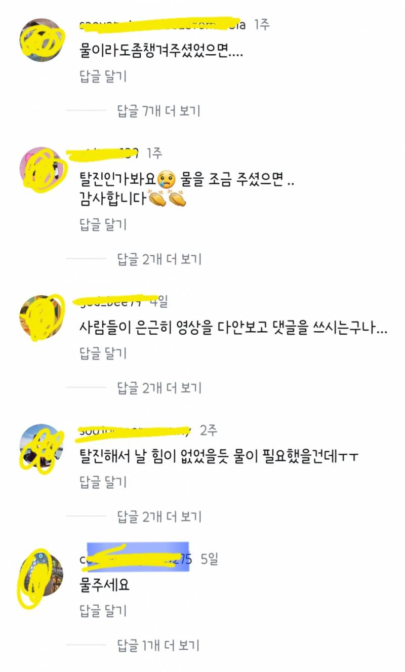 [잡담] 와 인스타 릴스 보는데 사람들 진짜 영상이나 글 끝까지 안보고 댓글 다는구나ㅋㅋㅋ | 인스티즈