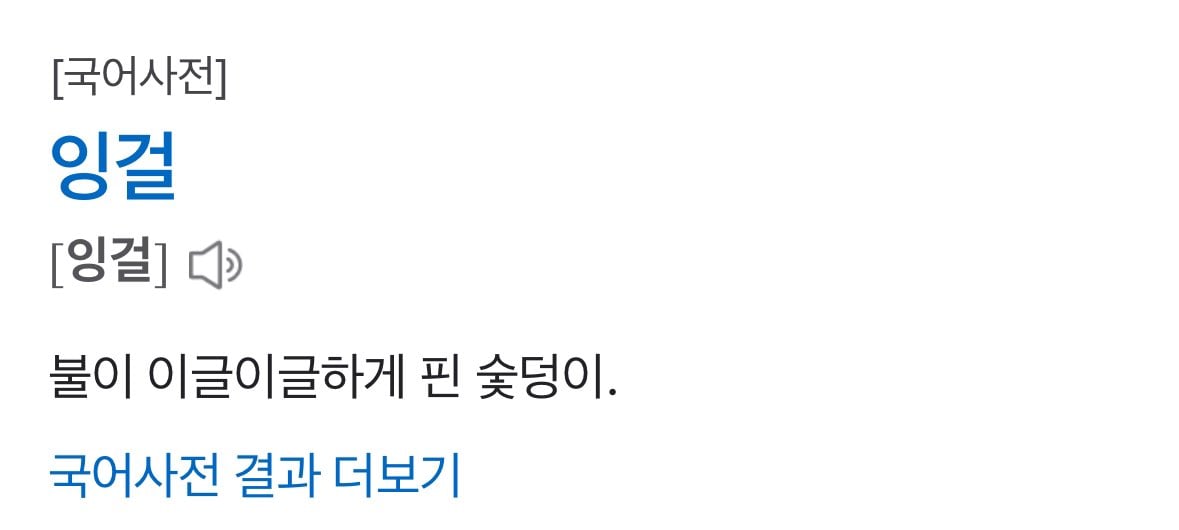 [잡담] 헐 라이즈 '잉걸' 인급동 2위❤️‍🔥 | 인스티즈
