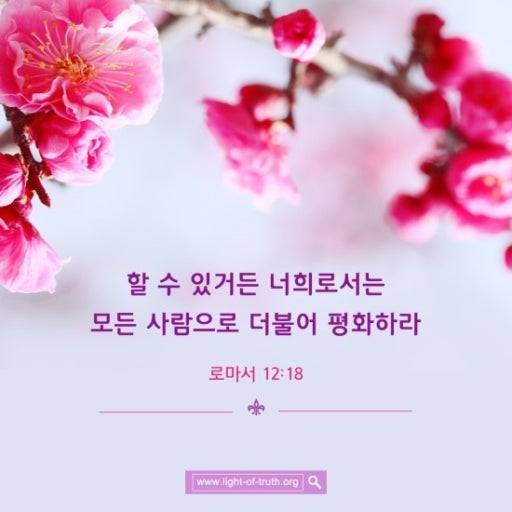 [잡담] 오늘 하루도 축복 가득한 하나님의 날 되기를 💓 | 인스티즈