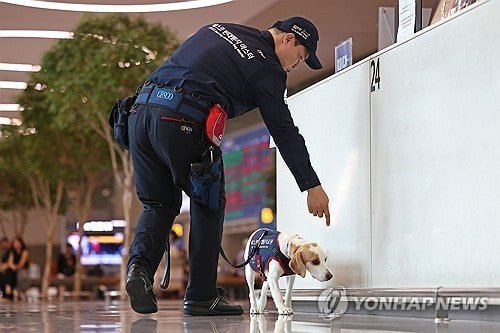 [정보/소식] 국내 제1호 빈대 탐지견 세코 | 인스티즈
