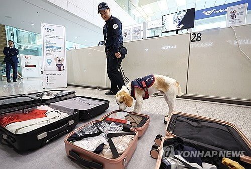 [정보/소식] 국내 제1호 빈대 탐지견 세코 | 인스티즈