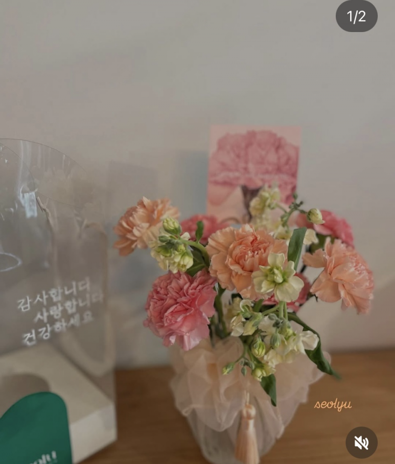 [잡담] 어버이날 꽃 선물 골라주라! 뭐가 제일 나아? | 인스티즈