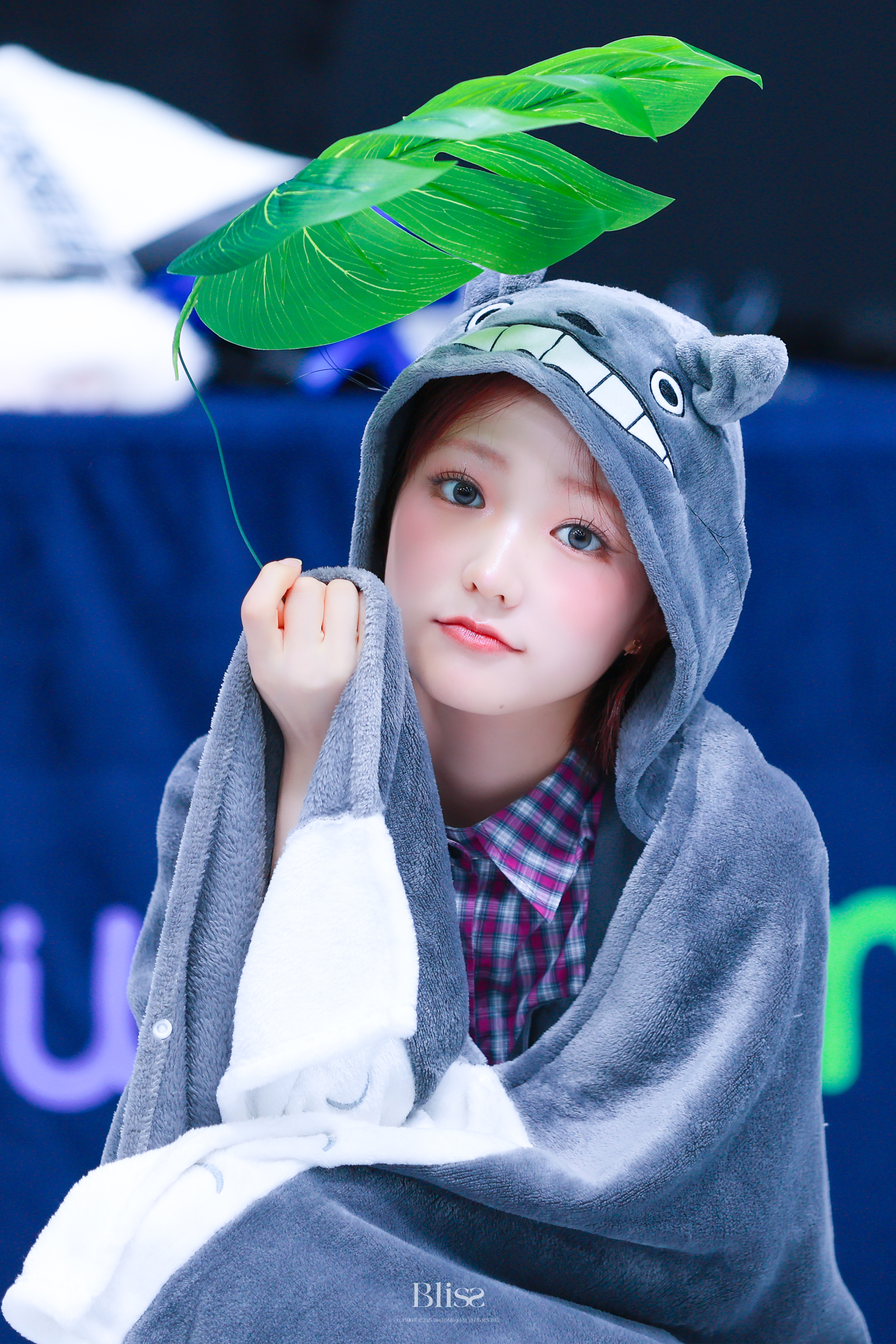 [잡담] 키키 지유 팬싸 토토로 착장 너무 귀여워서 미치겠다 ㅠㅠ | 인스티즈