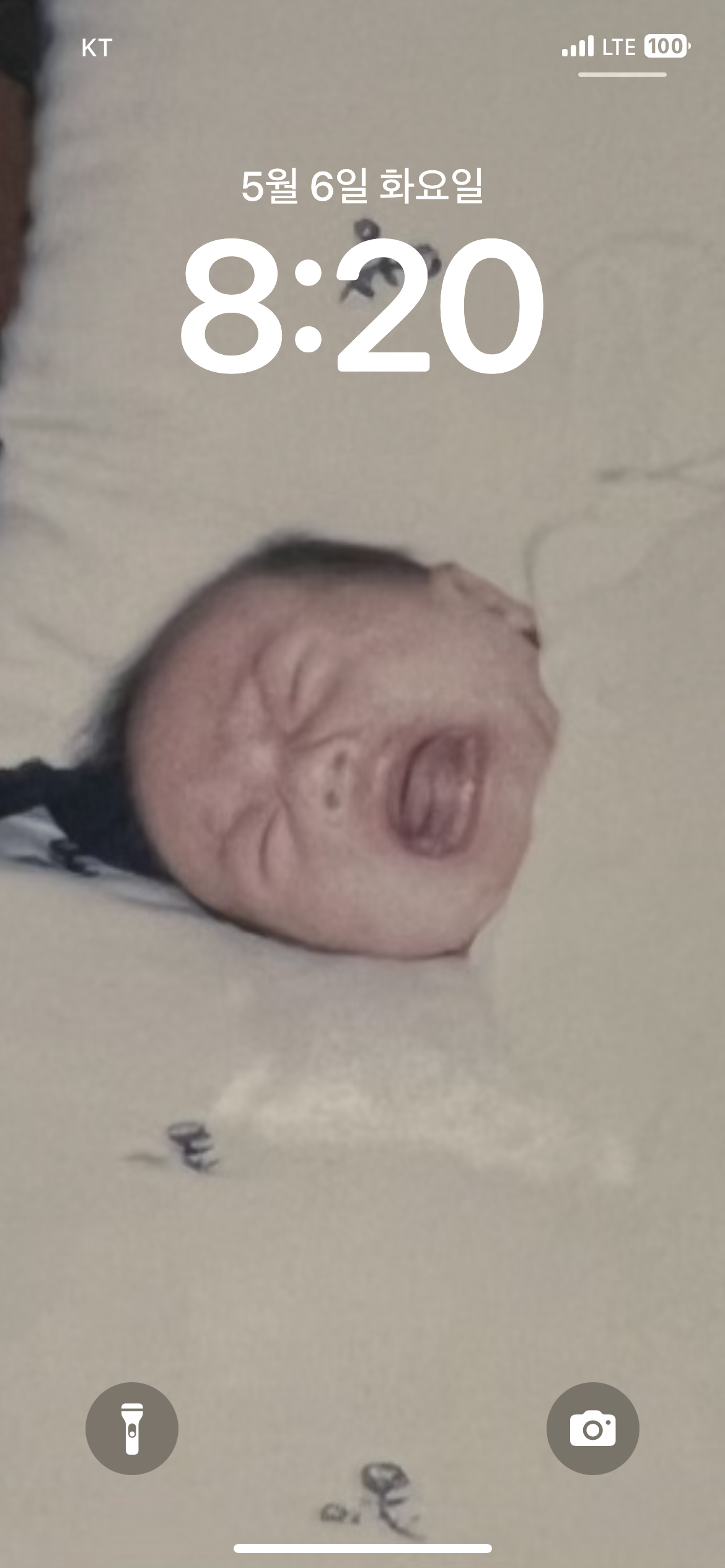 [잡담] 배경화면 원빈이 볼때마다 웃음이나 | 인스티즈