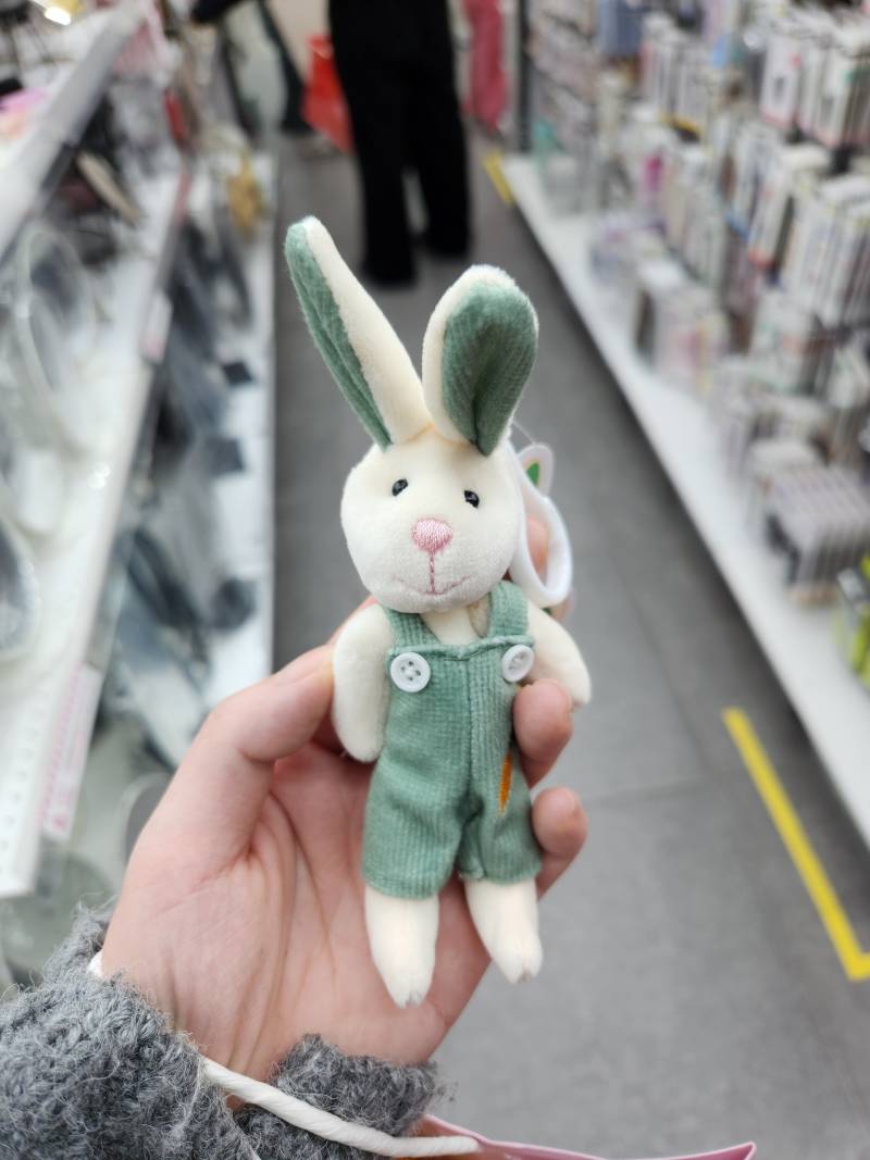 [잡담] 다이소 인형키링 미묘하게 다 달라서 웃김ㅋㅋㅋㅋㅋㅋ | 인스티즈