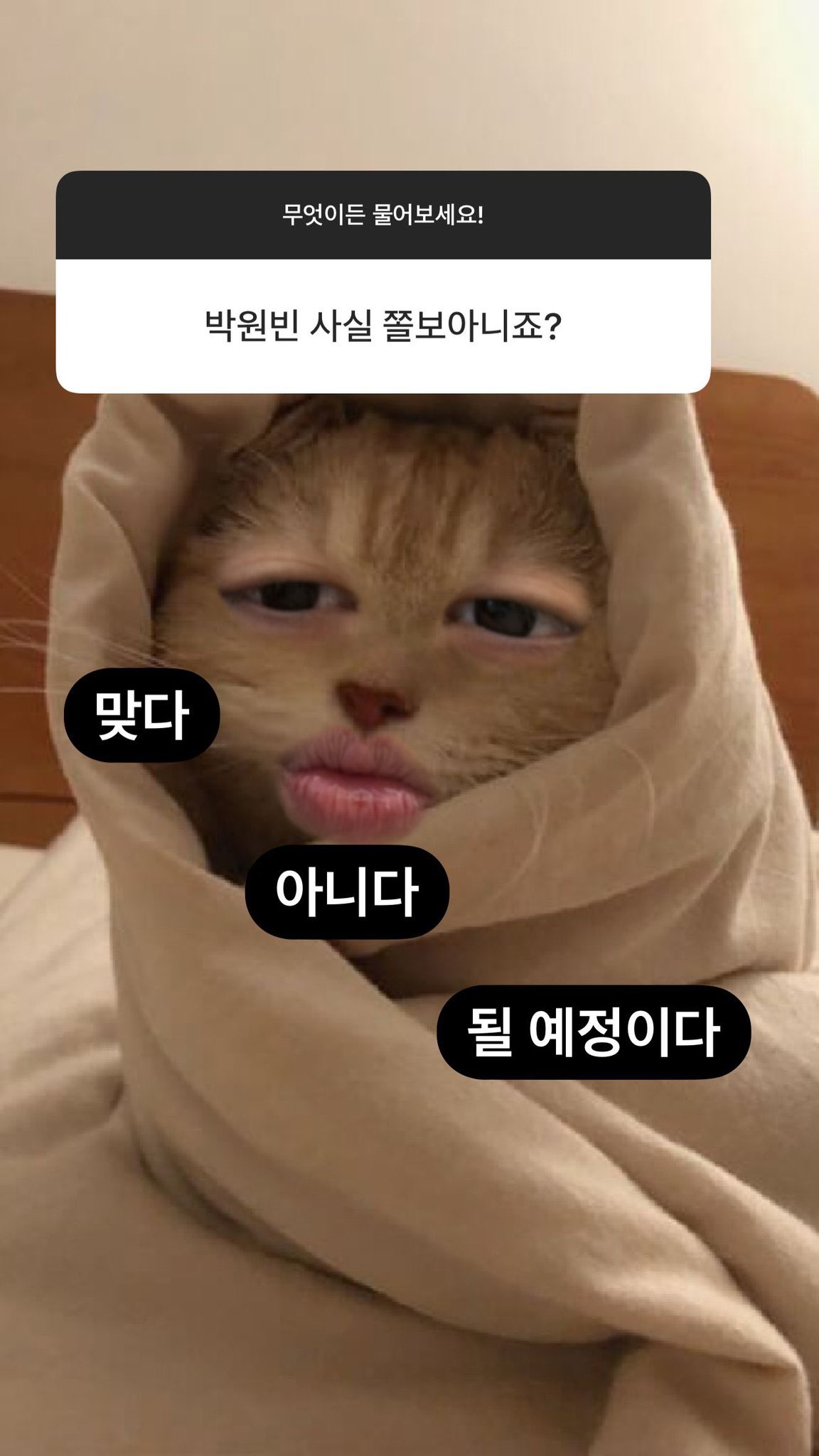 [잡담] 원빈앤톤 진정한 쫄보를 가릴때가 왔다 | 인스티즈