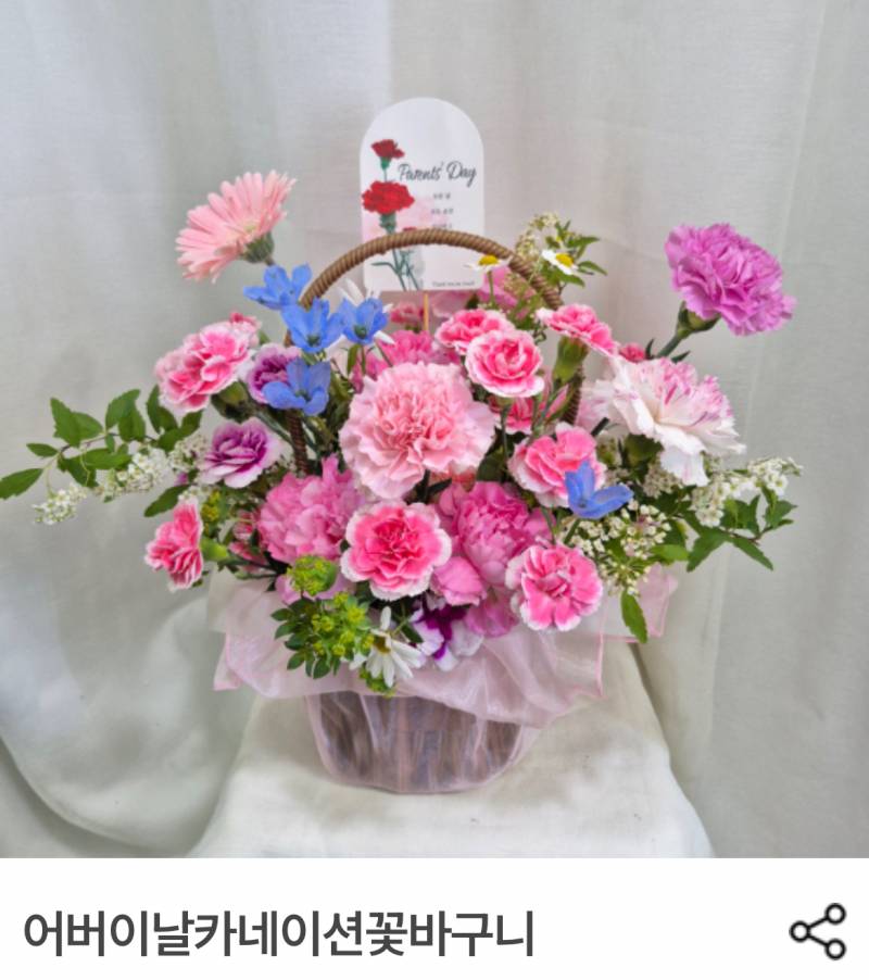[잡담] 카네이션 이거 얼마같아보여 | 인스티즈