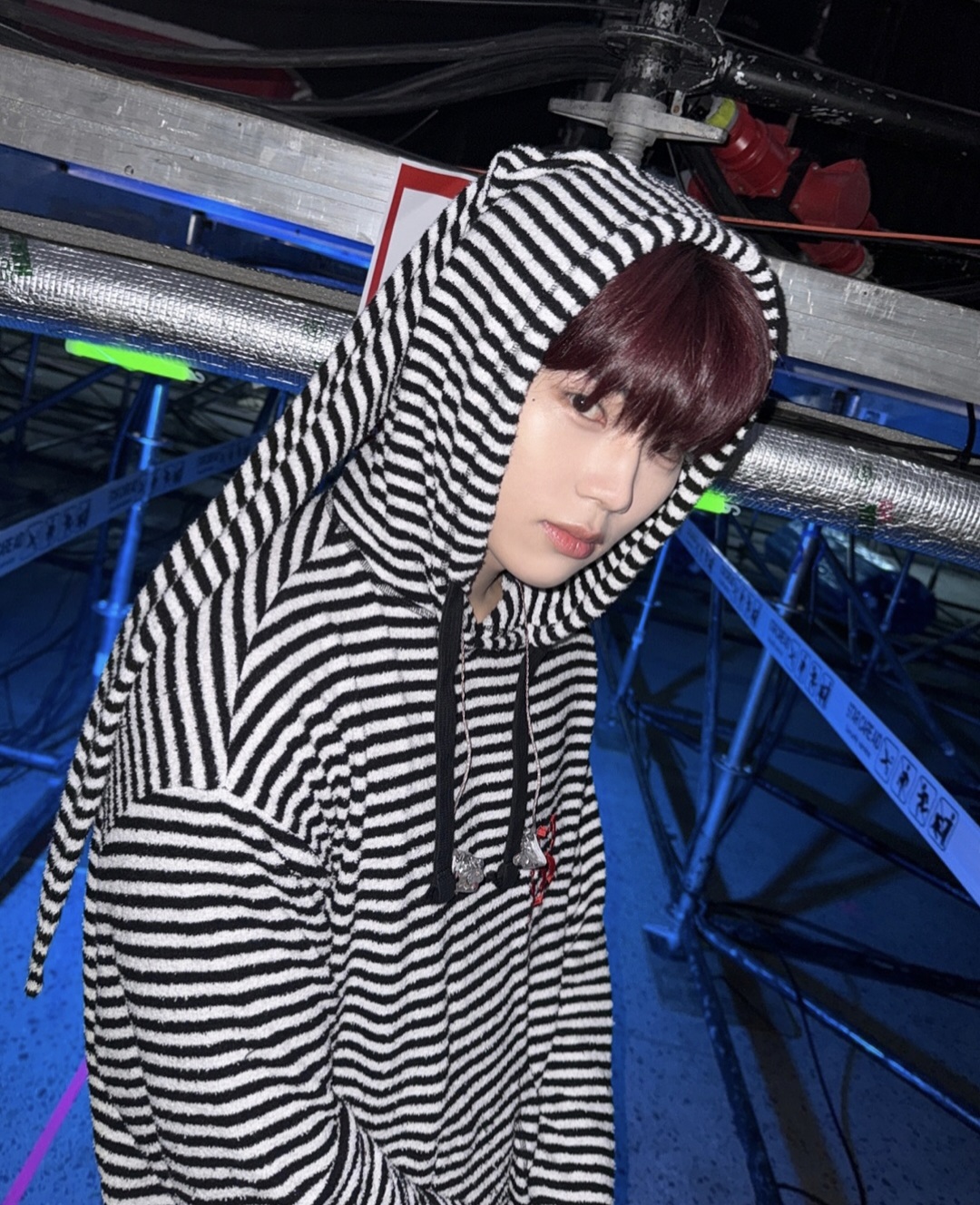 [잡담] 새벽이니까 내강아지 복복 쓰다듬고 자야지 | 인스티즈
