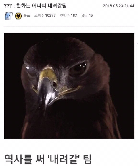 [잡담] ???:한화는 어짜피 내려갈팀 | 인스티즈