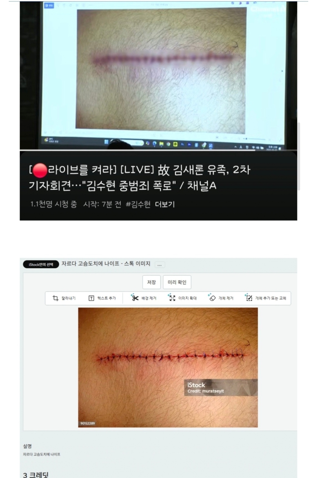 [정보/소식] 사기꾼에게 제대로 놀아난 가세연과 김새론 유가족 | 인스티즈