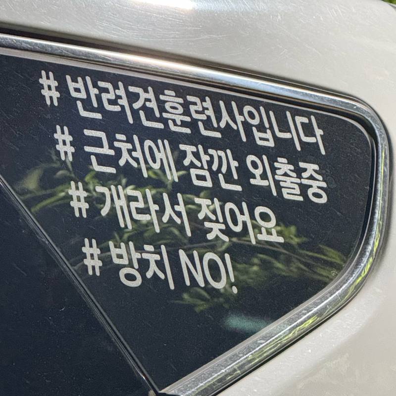 [잡담] 헐랭 지금 반려견 훈련사 차?? 거기에 강아지 혼자 갇혀서 엄청 으르렁 거리고 짖어 ,,, ㅠㅠ | 인스티즈