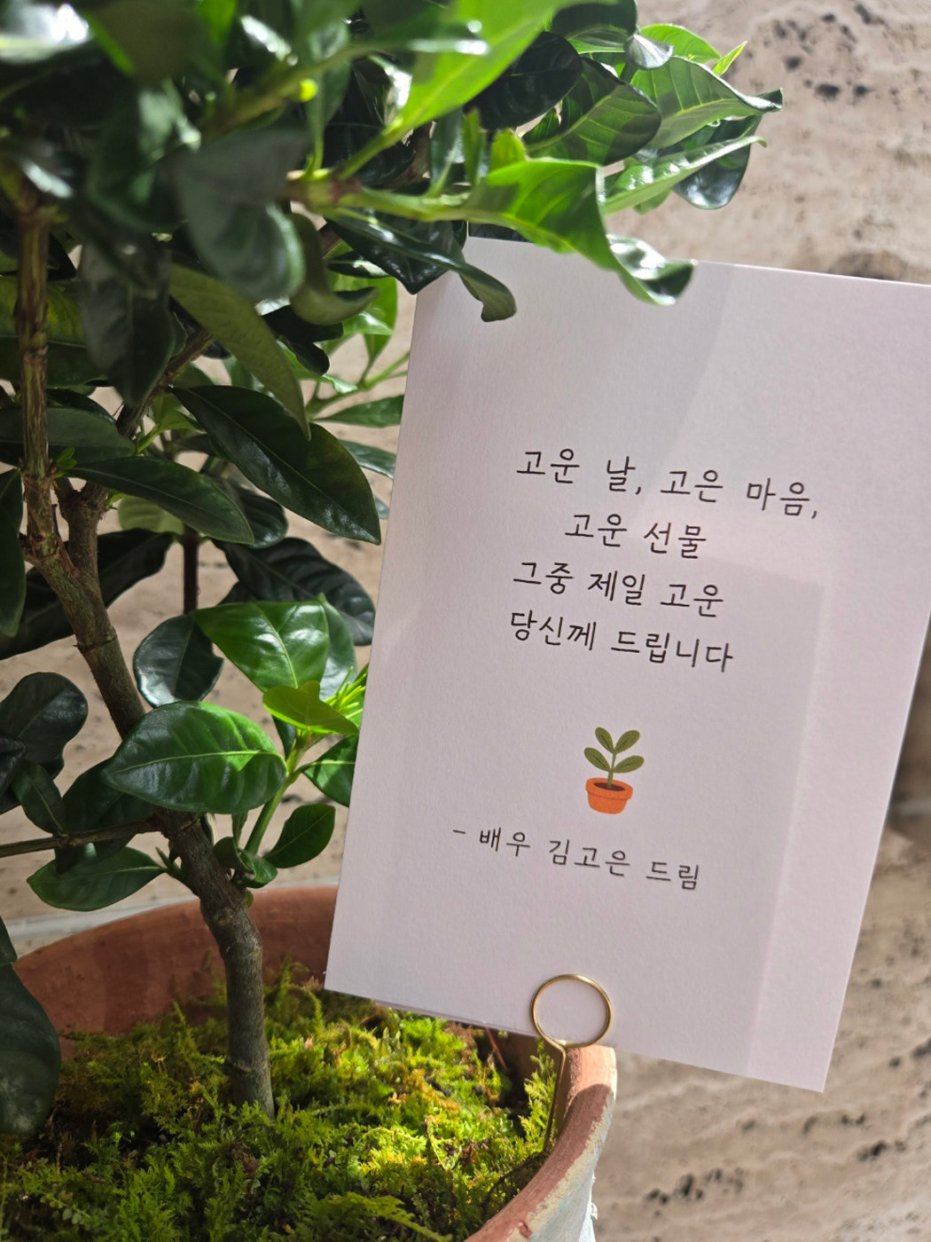 [정보/소식] 김고은, 어버이날 맞아 소속사 전 직원·배우 가정에 선물 전달 | 인스티즈