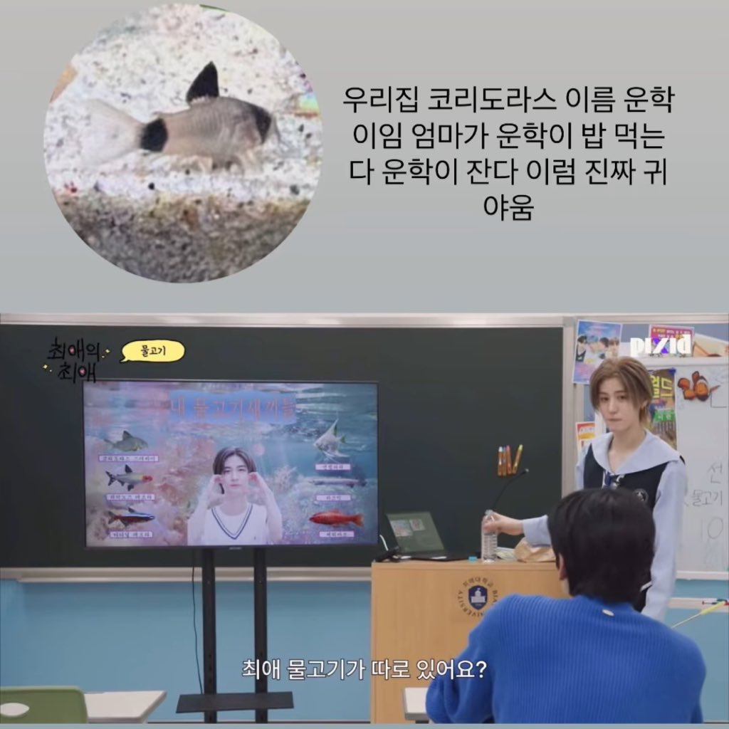 [잡담] 최애의최애 작가님 인스스 개웃기네ㅋㅋㅋㅋㅋ | 인스티즈