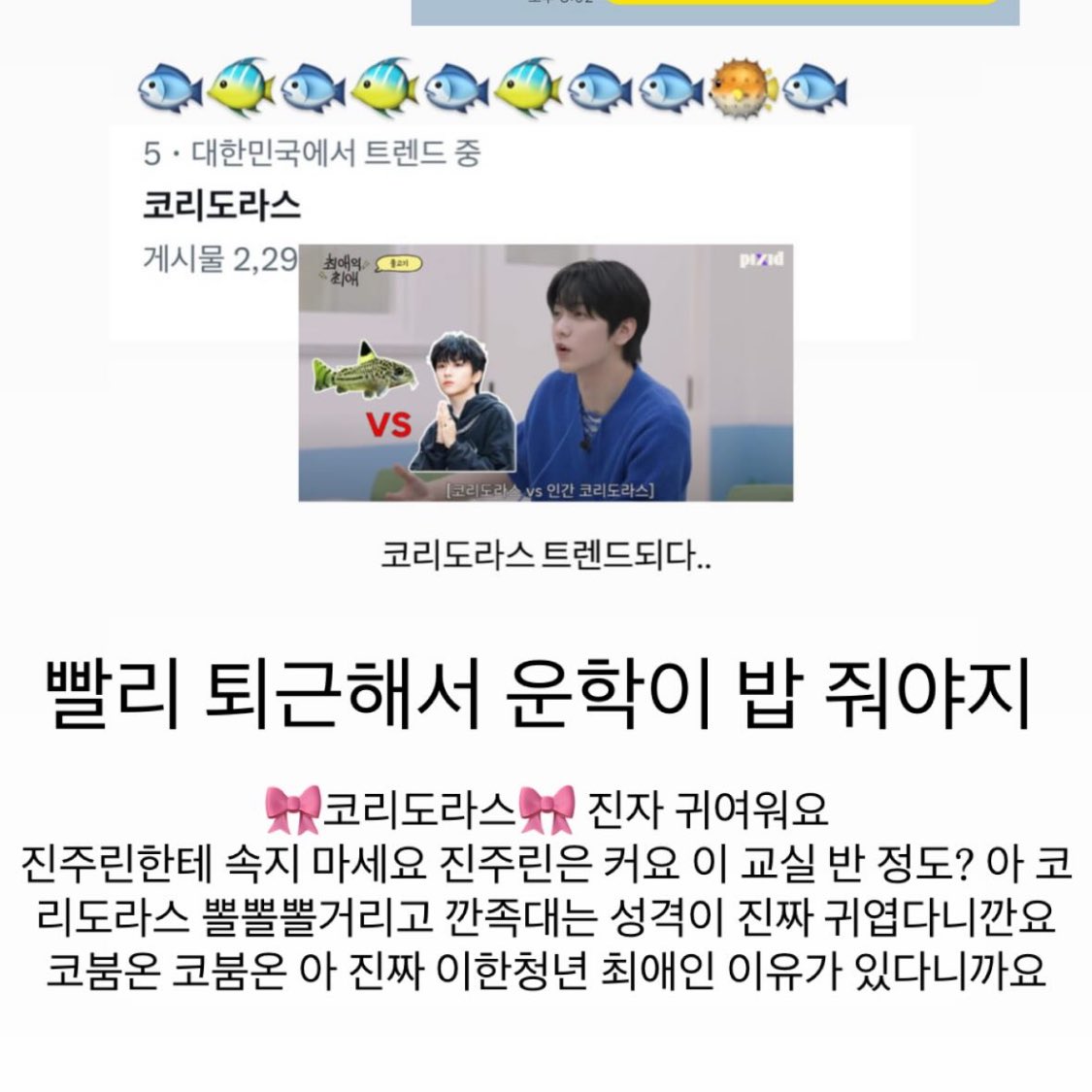 [잡담] 최애의최애 작가님 인스스 개웃기네ㅋㅋㅋㅋㅋ | 인스티즈