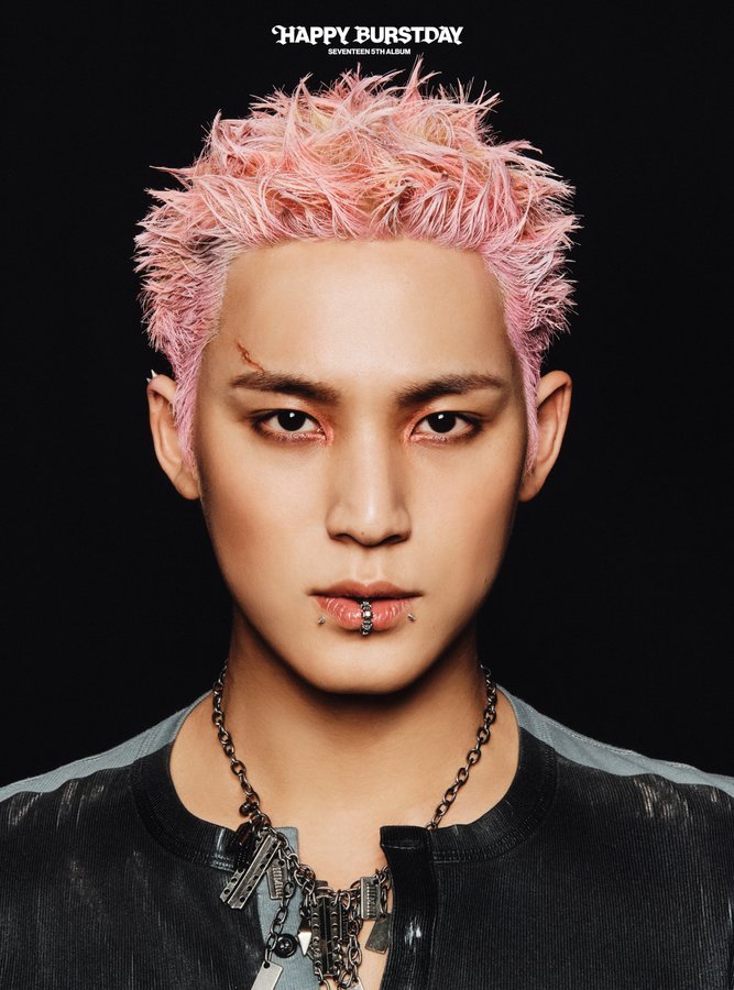 [잡담] 세븐틴 생파 초대받았는데 살아돌아올 수 있는 거에요 이거???!!! | 인스티즈