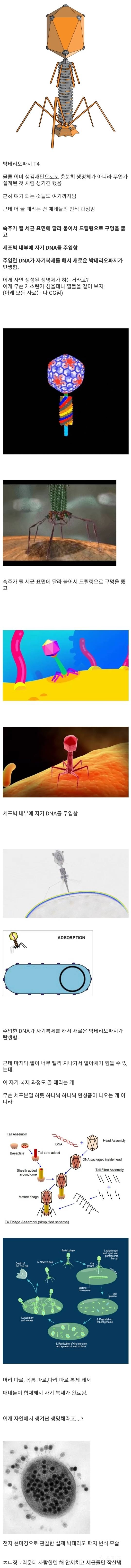 외계인이 만든 생체로봇 같다고 여겨지는 생명체.jpgif | 인스티즈