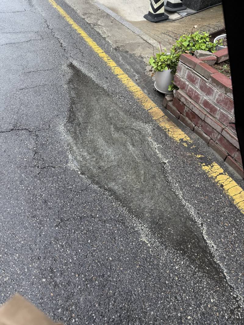 [잡담] 빗물 고인곳에 다 노란색 검팡이핀거같은데 이게뭐지 | 인스티즈