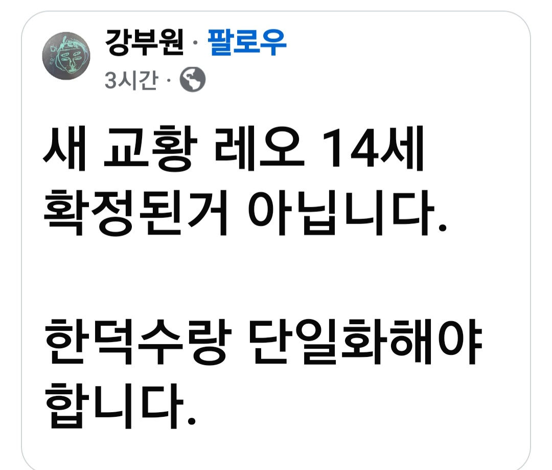 [잡담] 새 교황 레오 14세 확정된거 아닙니다.. | 인스티즈