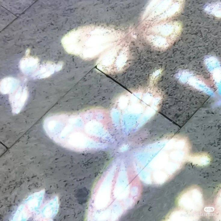 [잡담] 애플뮤직 플레이리스트 커버로 쓰려고 모아뒀던 짤들 | 인스티즈