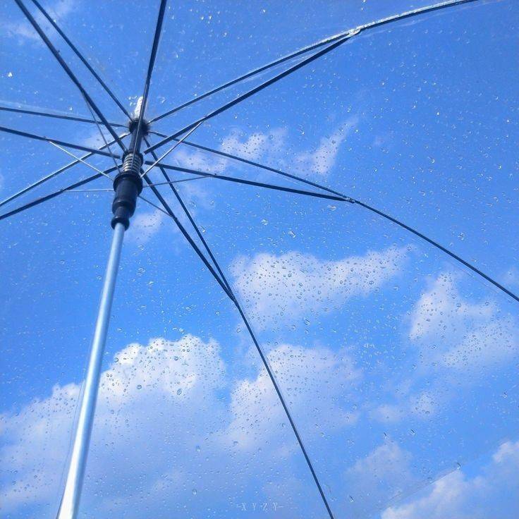 [잡담] 애플뮤직 플레이리스트 커버로 쓰려고 모아뒀던 짤들 | 인스티즈