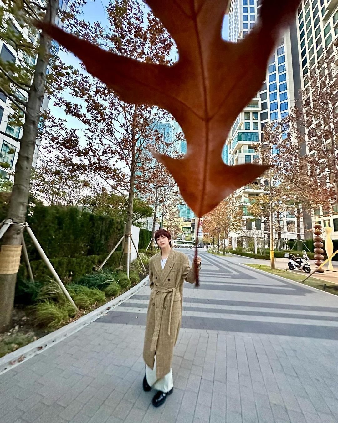 [잡담] 앤톤 진짜 젠지하게 사진 잘찍는듯 ㅋㅋㅋㅋ | 인스티즈