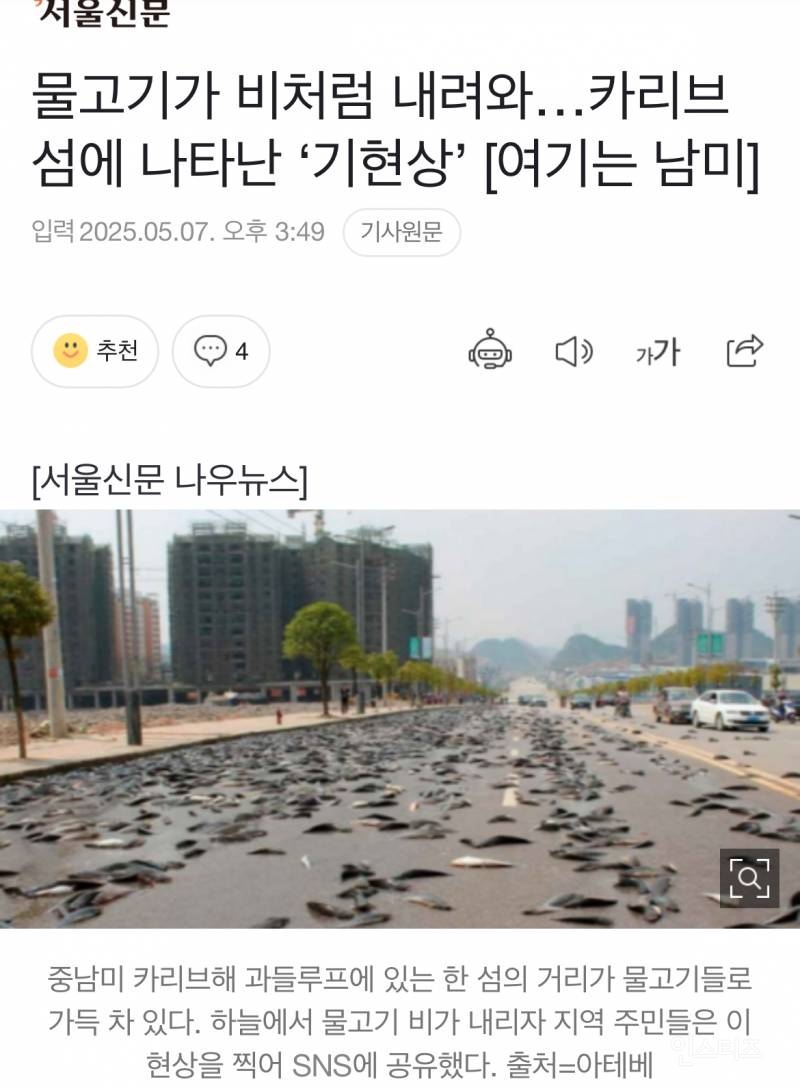 실제상황! 하늘에서 내린 물고기 | 인스티즈