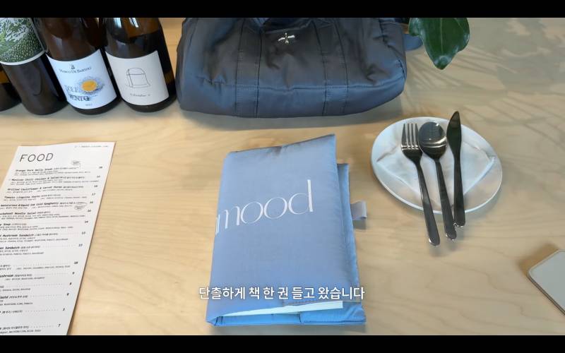 [잡담] 좋아하는 유튜버 영상에서 본 가방인데 이거 무슨 가방일까?? | 인스티즈