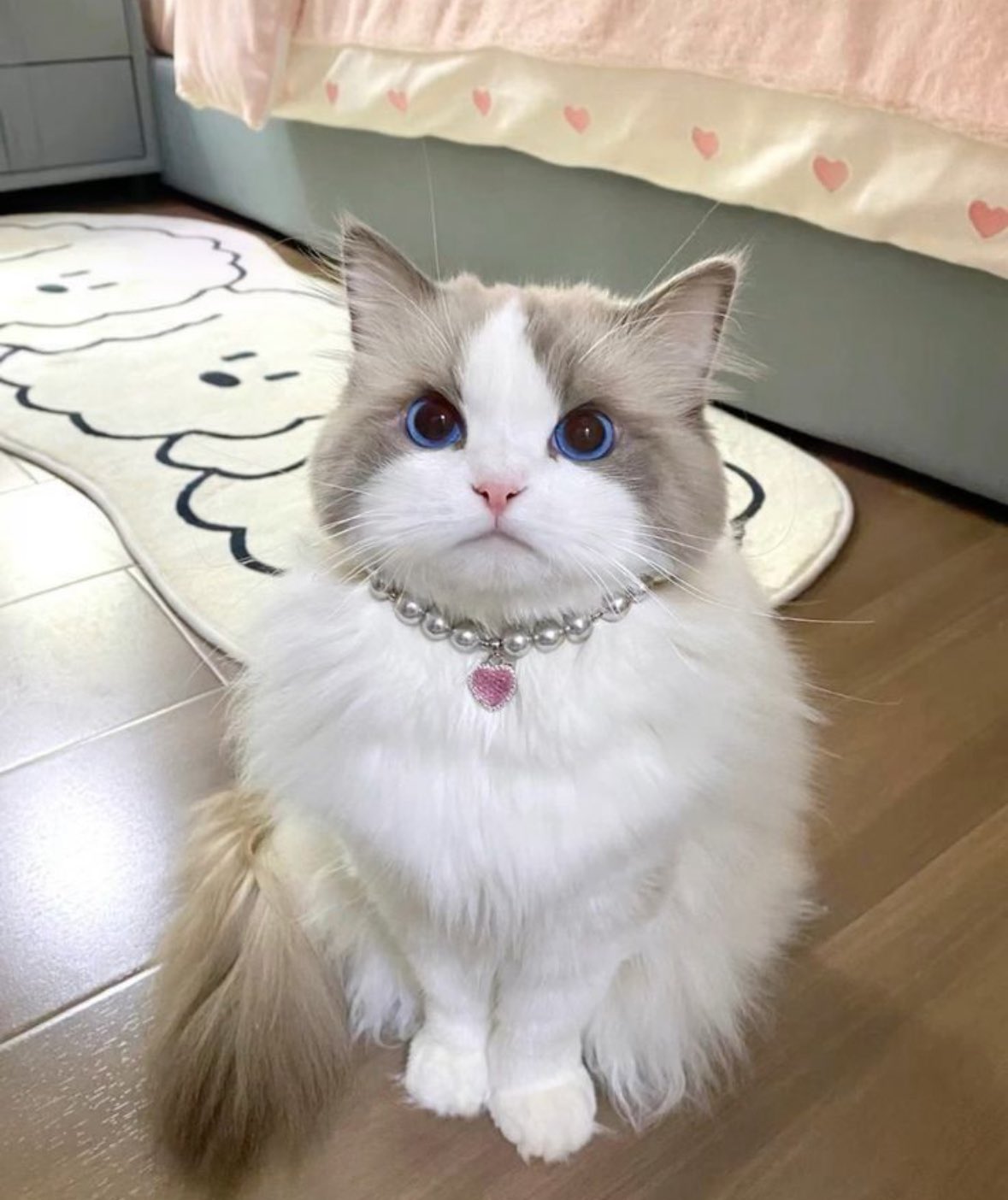 [잡담] 오늘 성한빈 얘랑똑같 | 인스티즈
