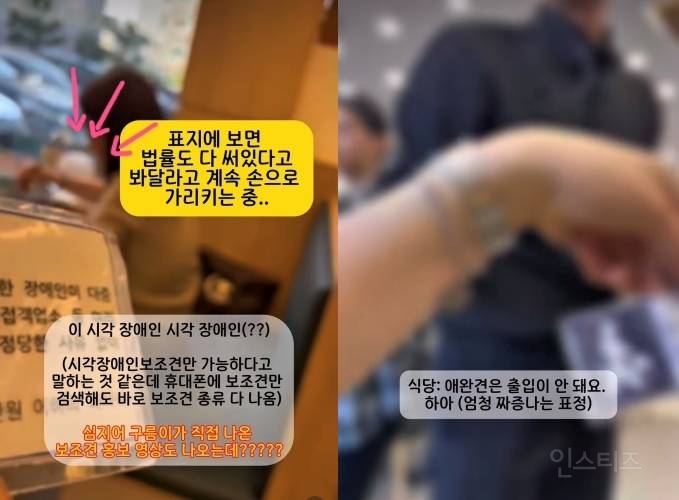 "청각장애인 보조견이 어딨냐" 식당과 경찰에 문전박대 당해 | 인스티즈