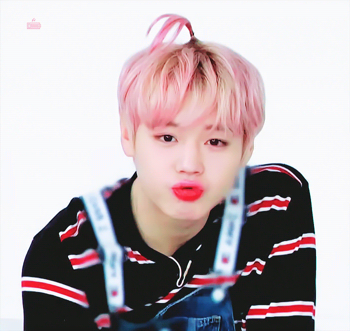 [잡담] 박지훈 늦덕이라 프듀 워너원 배우까지 쭉 정주행 하는데 | 인스티즈