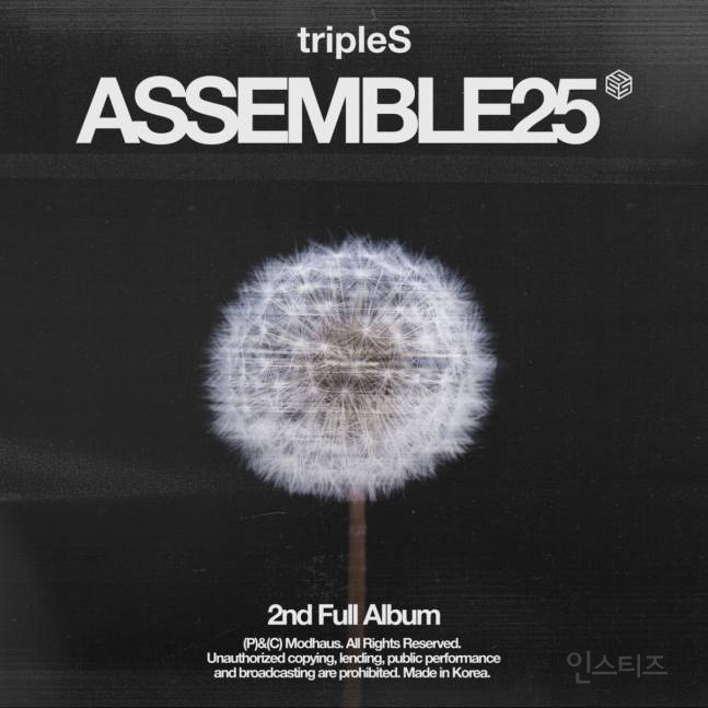 스물넷 S의 新서사..트리플에스 'ASSEMBLE25' 발매 | 인스티즈