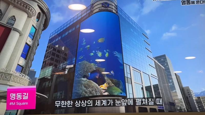 현재 난리 난 서울시 미감.JPG | 인스티즈