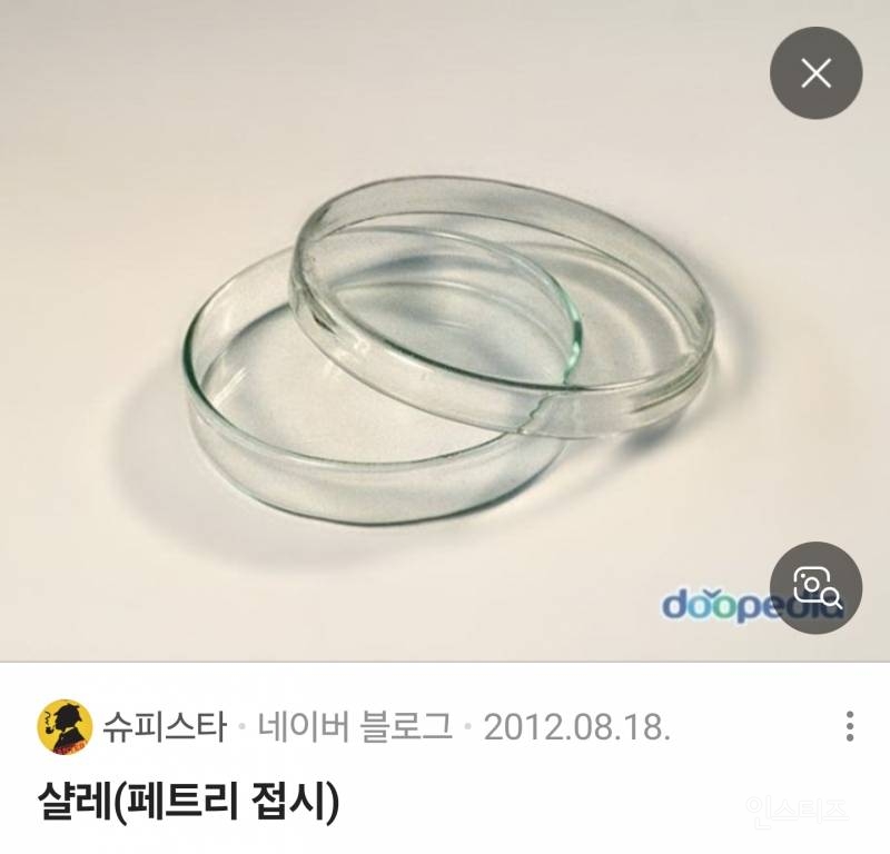 질문!! 샬레 아는사람? | 인스티즈