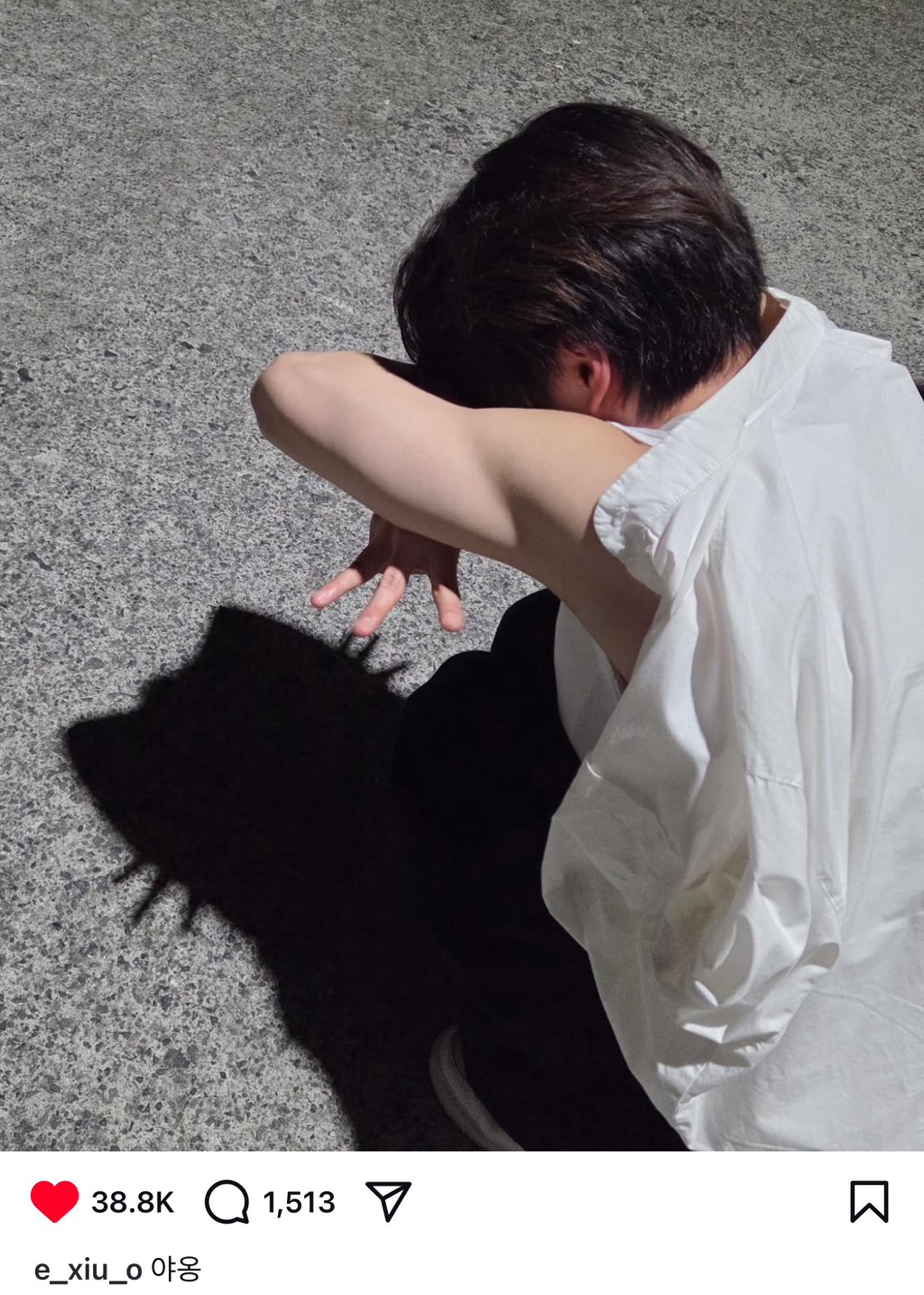[잡담] 고양이그림자 챌린지? 만든사람 센스쩌네 | 인스티즈