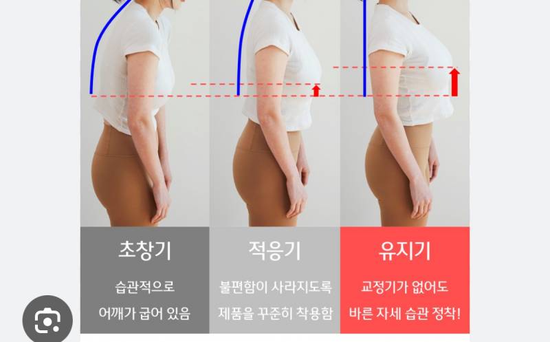 [잡담] 진심 세번째가 올바른 자세임?? | 인스티즈
