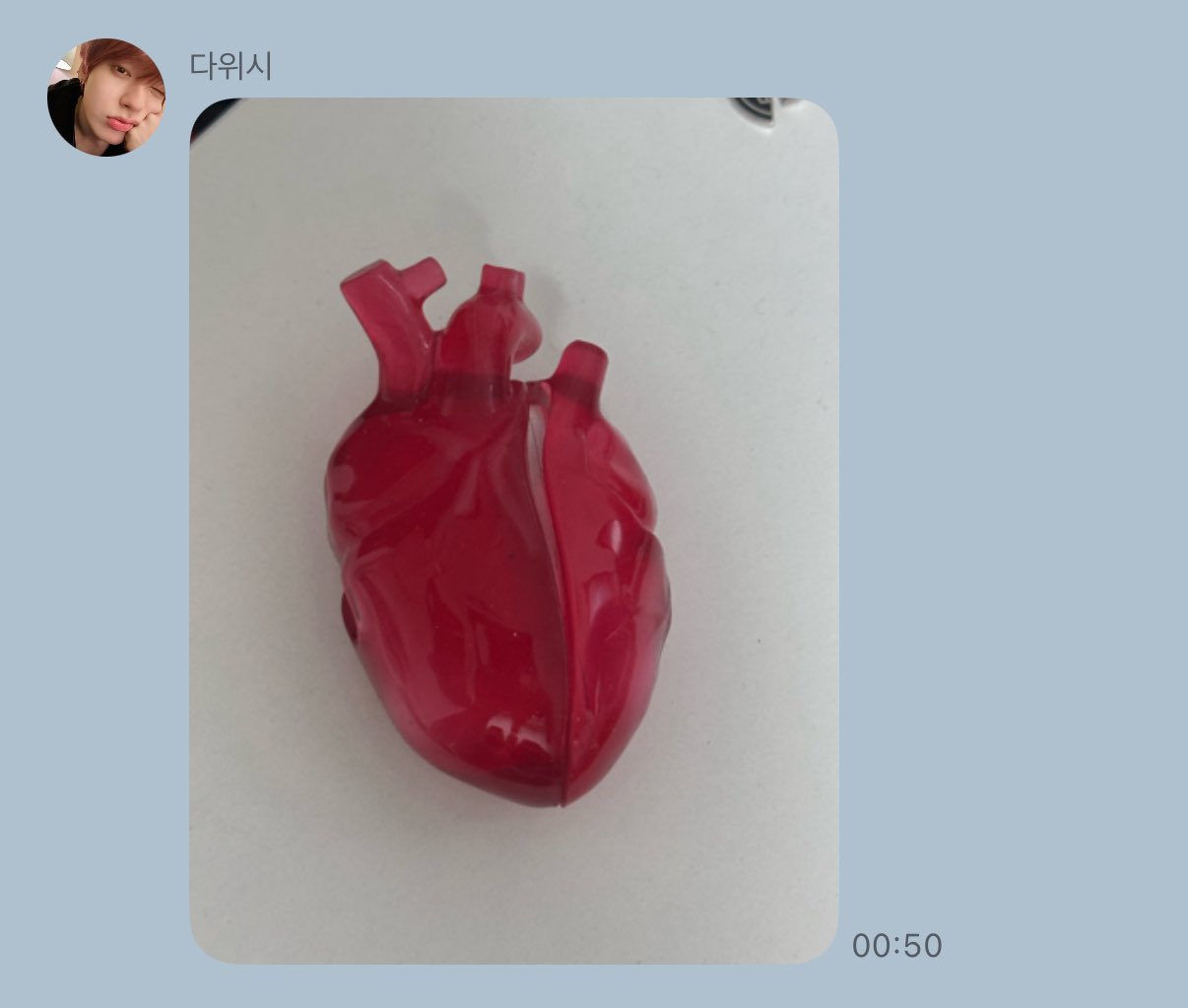 [잡담] 특이한 템만 모아오는 최애 | 인스티즈