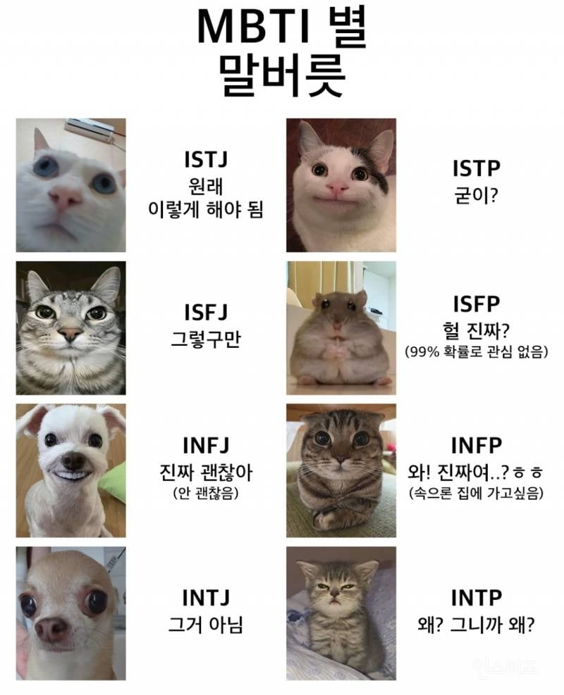 MBTI별 말버릇.jpg | 인스티즈