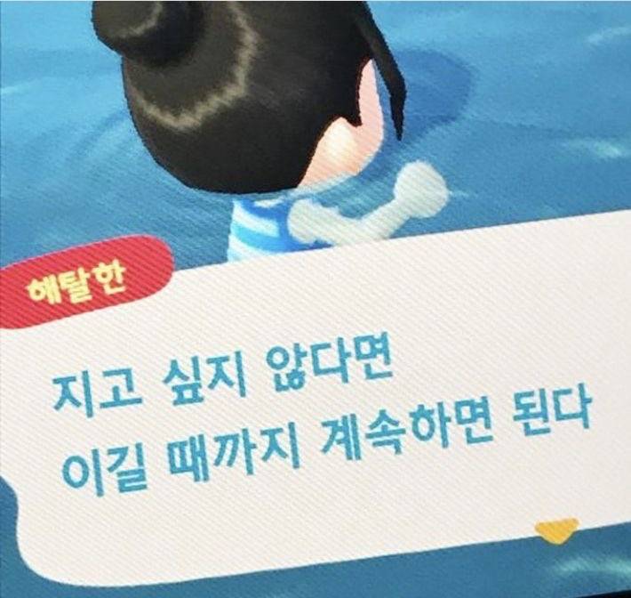 [잡담] 기사 추가하고 있어요 | 인스티즈