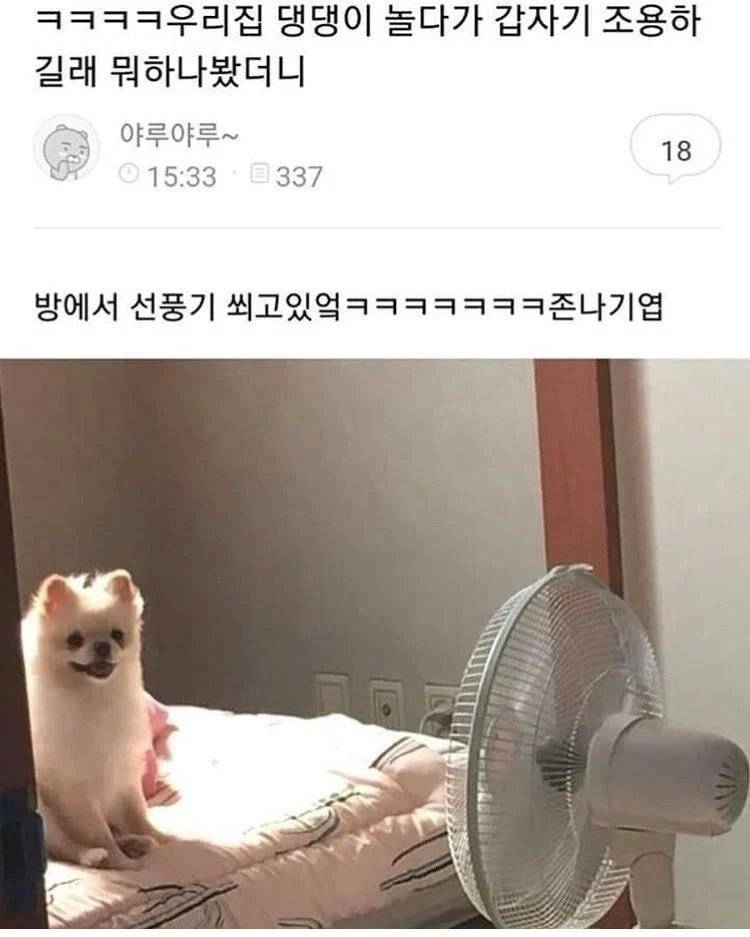 🍀원아페 티켓팅 | 인스티즈