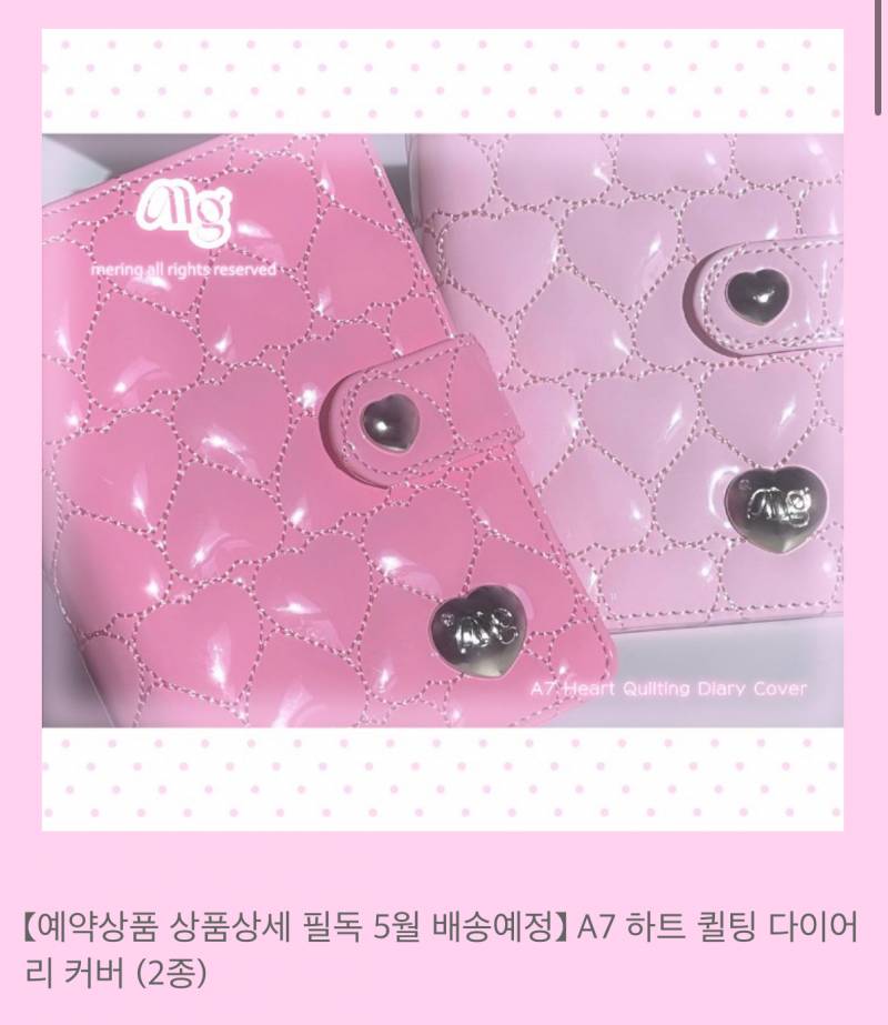 다이어리) [잡담] 이런 다이어리 a6나 a5는 없을까 | 인스티즈