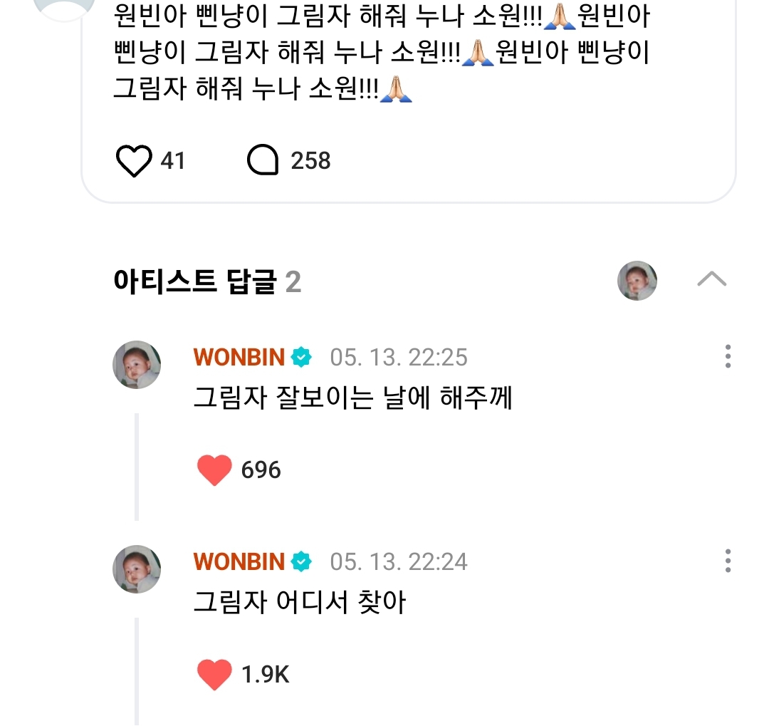 [잡담] 원빈이 고양이 그림자 온다 | 인스티즈