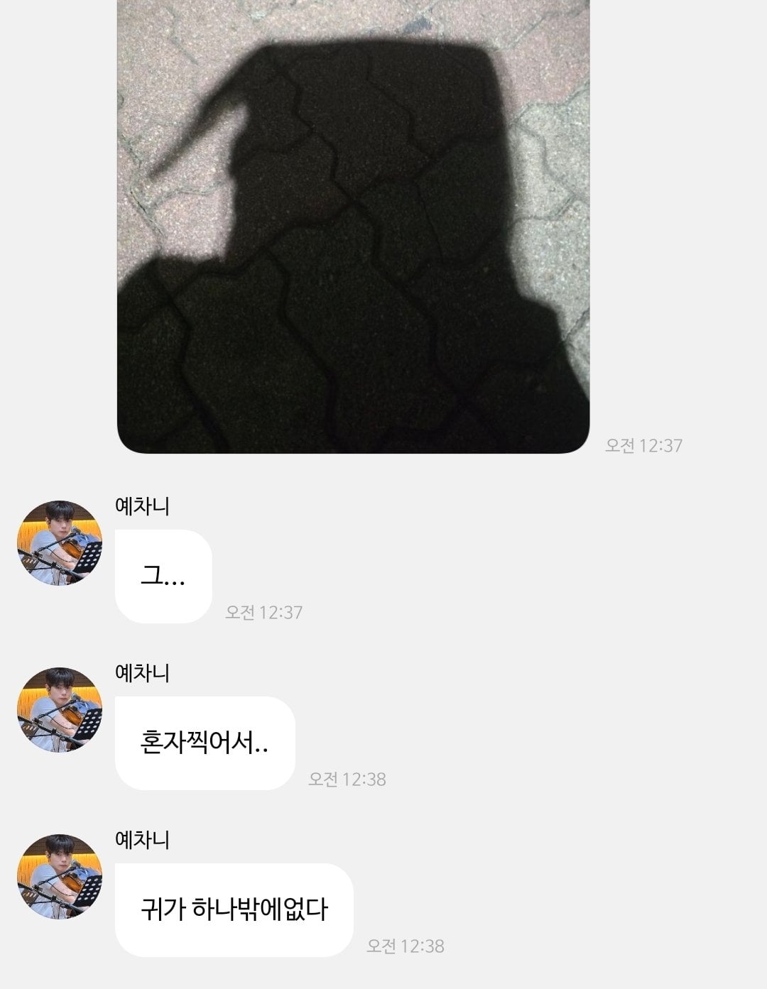 [잡담] 강아지 그림자 이게 맞아..? | 인스티즈