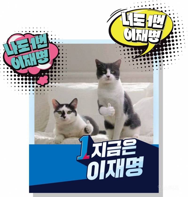 이재명 고양이ㅋㅋㅋㅋㅋㅋㅋ넘웃기네 | 인스티즈