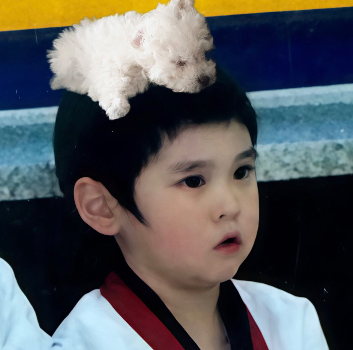 [잡담] 아기은석 머리위 아기찰리 | 인스티즈