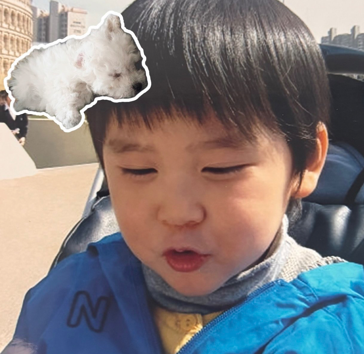 [잡담] 아기은석 머리위 아기찰리 | 인스티즈
