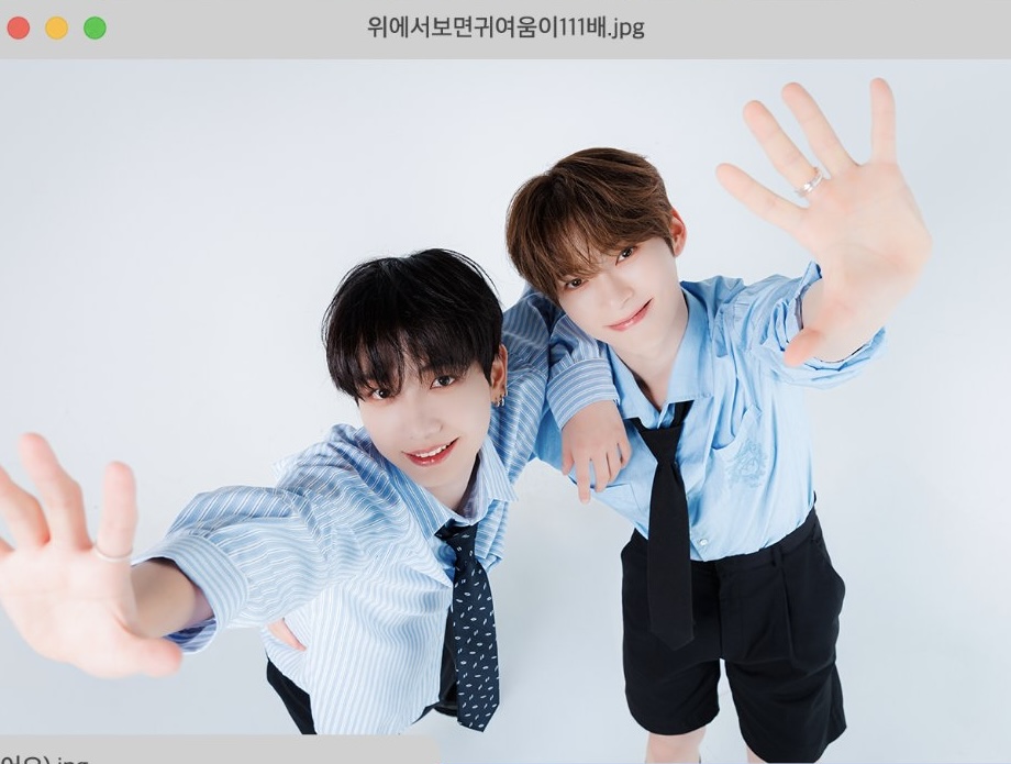 [잡담] 멍캣 포스터 이거 귀엽다 | 인스티즈