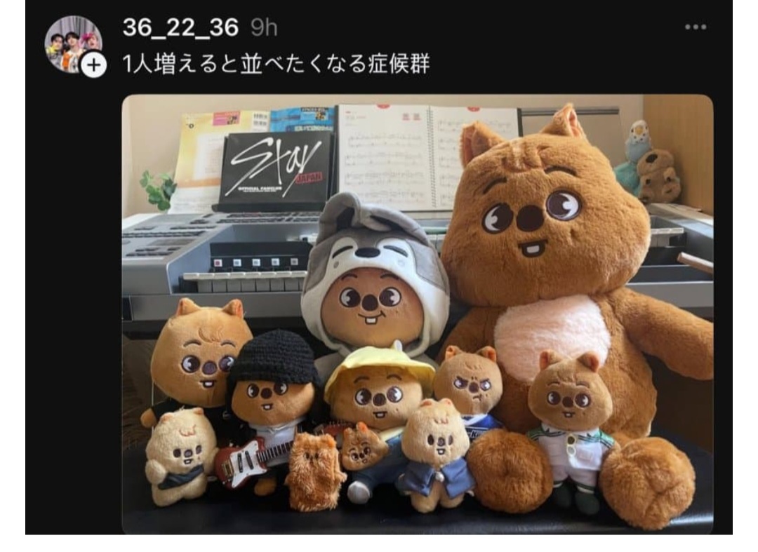 [잡담] 스키즈네 테디베어스키주 진짜 권력있어 | 인스티즈
